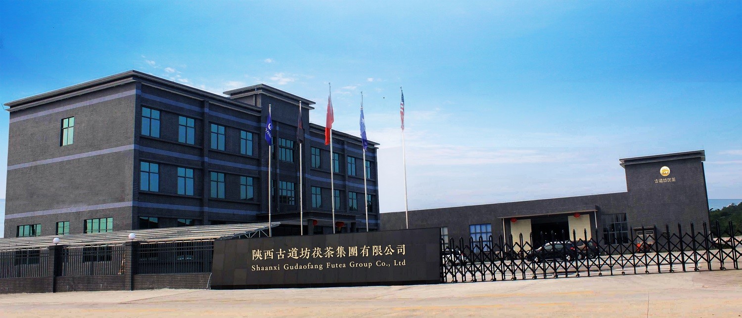 Porcellana Shaanxi Gudaofang Futea Group Co., Ltd.