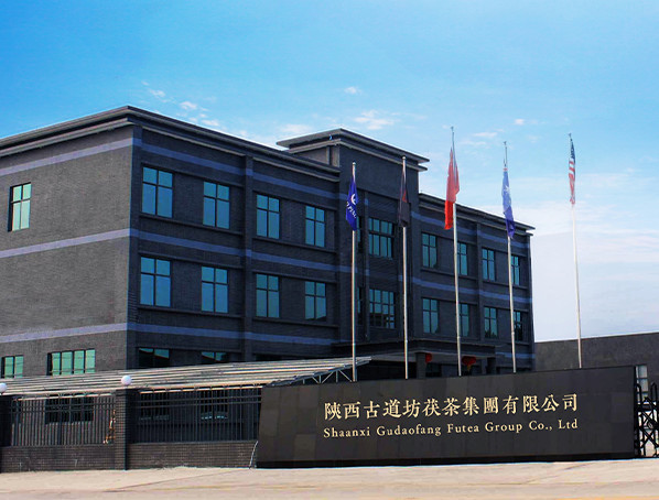 Porcellana Shaanxi Gudaofang Futea Group Co., Ltd. Profilo Aziendale