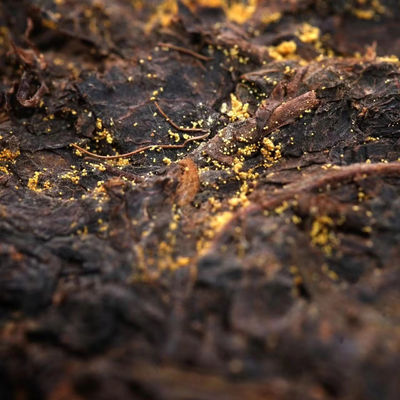 Bevande speciali per la salute 100% naturale, organico, torta di tè quadrata, tè scuro di grado 1 della Shaanxi Official Tea Manufacturing